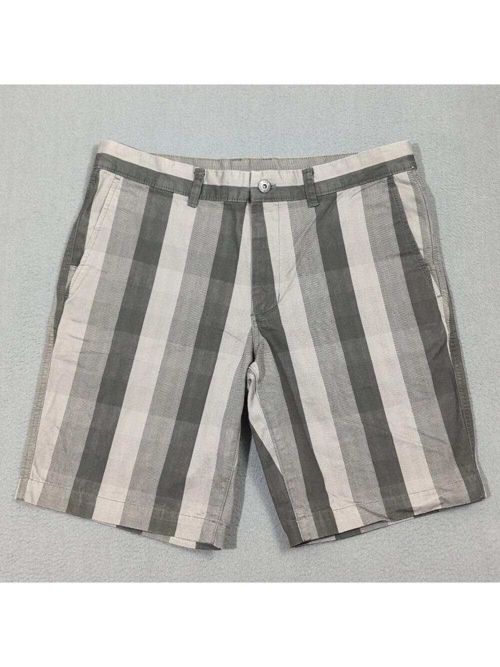 The North Face Shorts Men's 34 Gray The Narrows Striped Flat Front